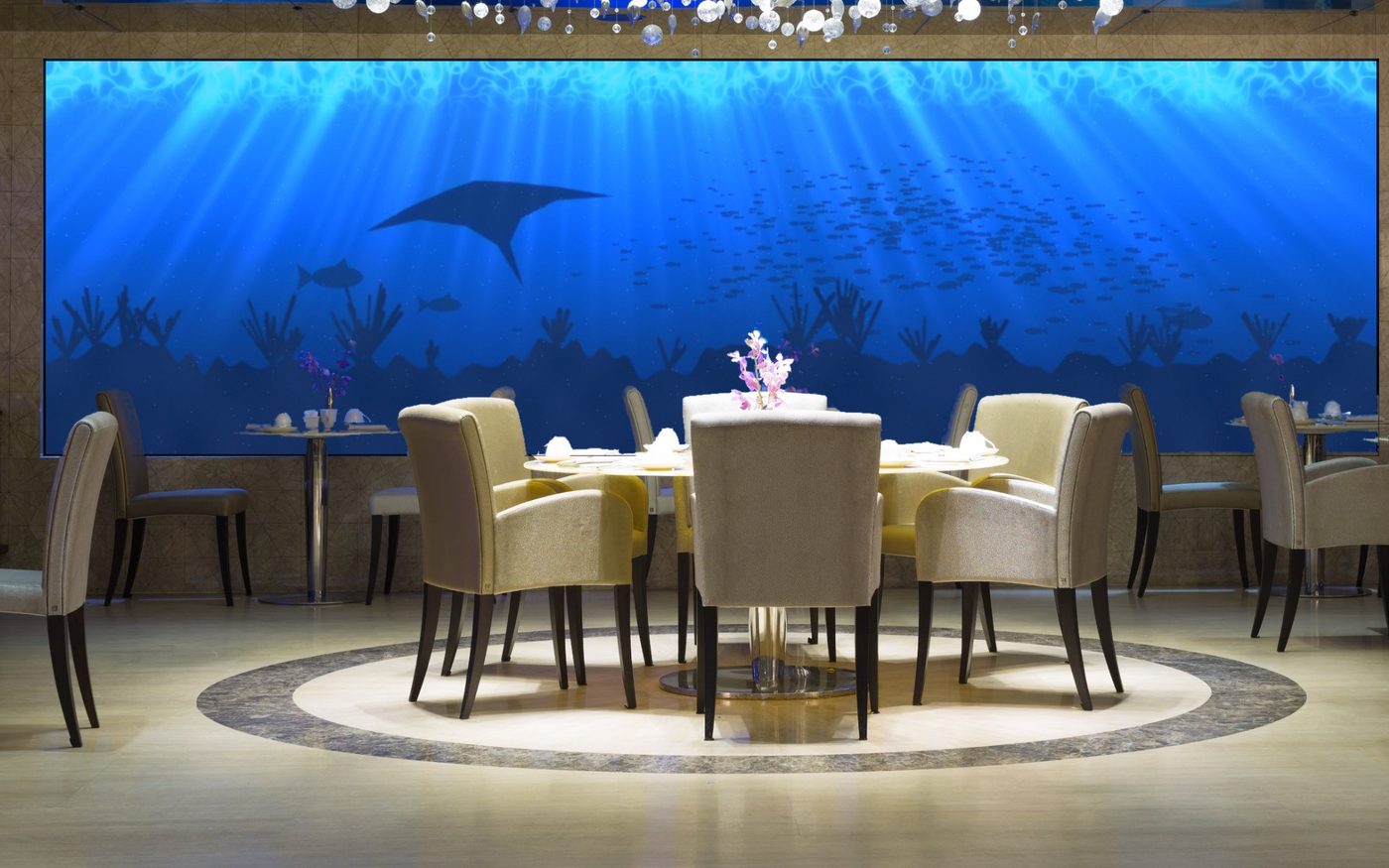 Mur vidéo DEL qui montre une scène sous-marine dans la salle à manger d’un restaurant